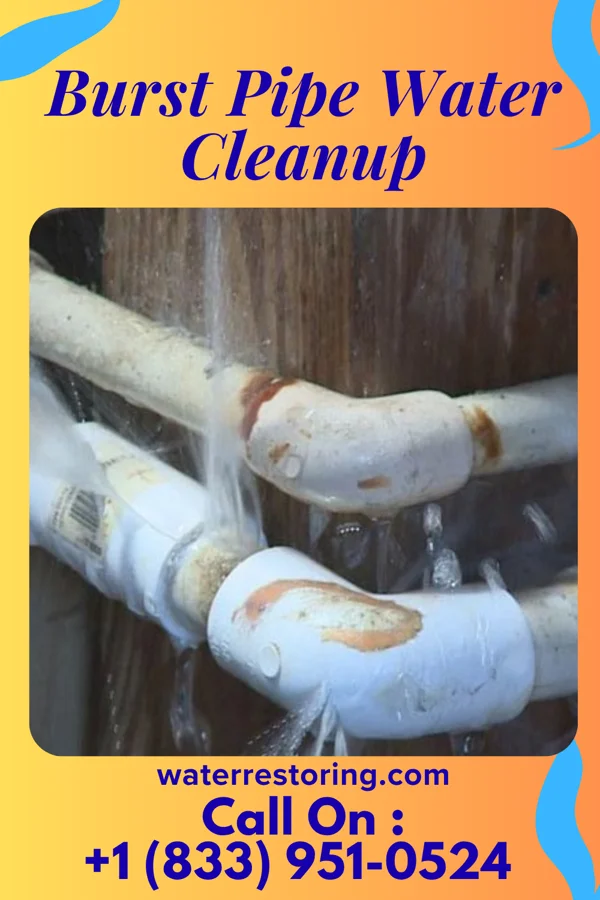 Burst Pipe Water Cleanup in Boone, NC