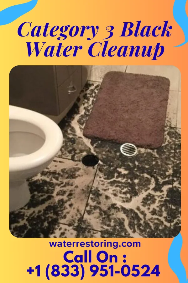 Category 3 Black Water Cleanup in Boone, NC