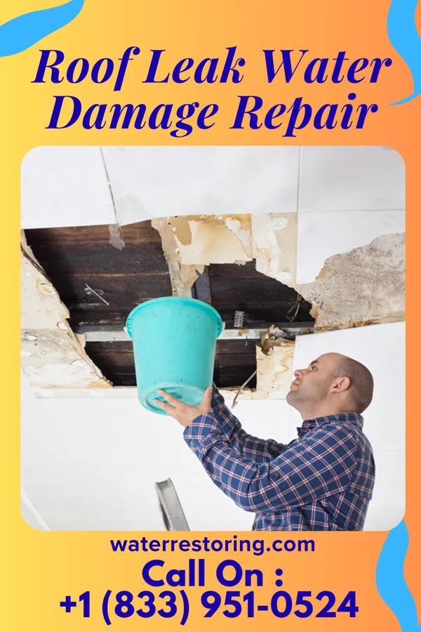 Roof Leak Water Damage Repair in Boone, NC