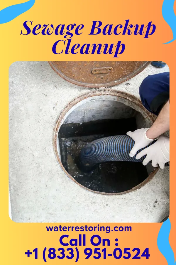 Sewage Backup Cleanup in Boone, NC